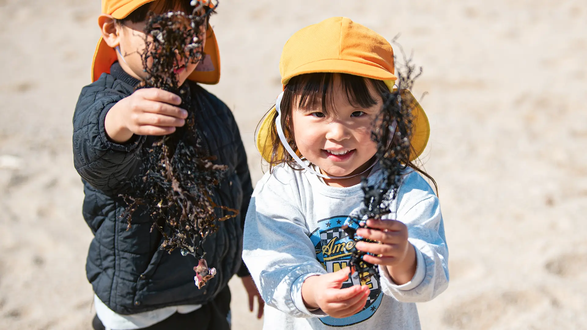 メインビジュアル写真